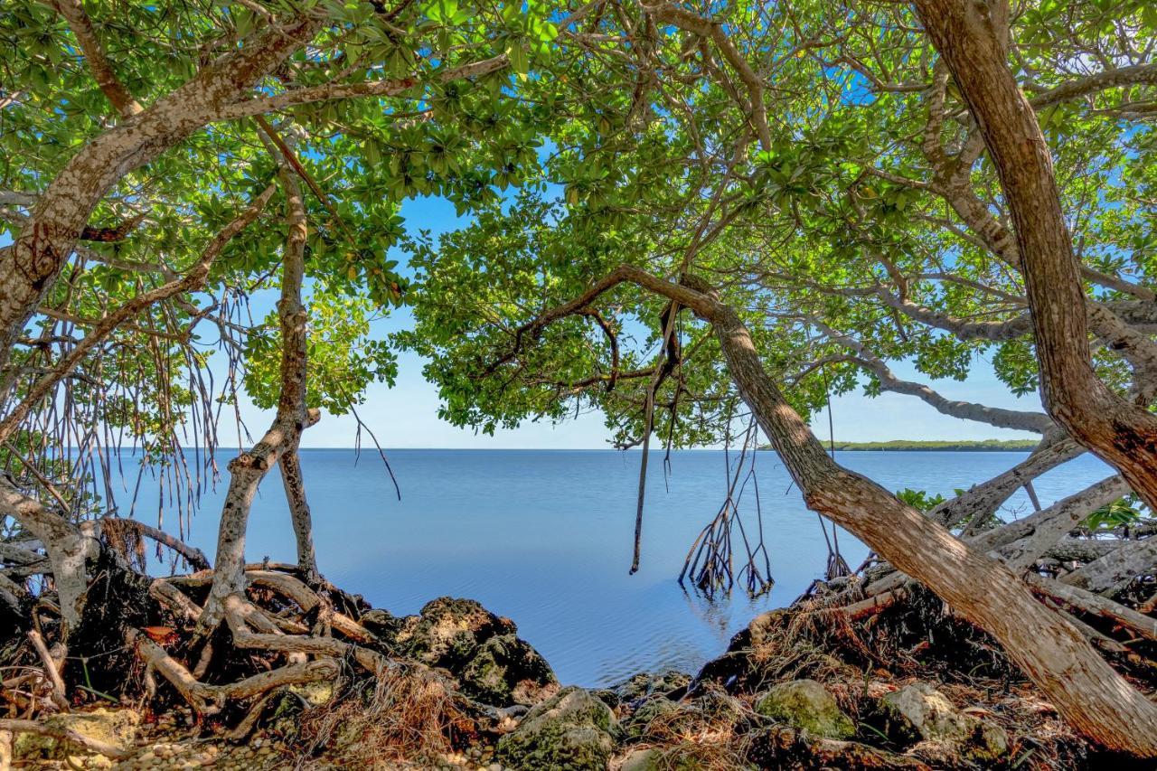 Dove Creek Resort & Marina, Trademark Collection By Wyndham Key Largo Exteriör bild